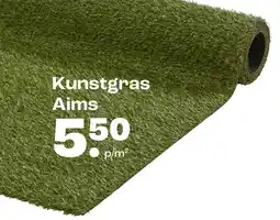 Kwantum Bekijk kunstgras Aims[link] aanbieding