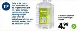 GAMMA Vintastic groene aanslagreiniger aanbieding