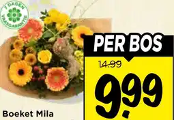 Vomar Voordeelmarkt Boeket Mila aanbieding