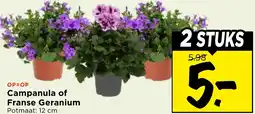 Vomar Voordeelmarkt Campanula of Franse Geranium aanbieding