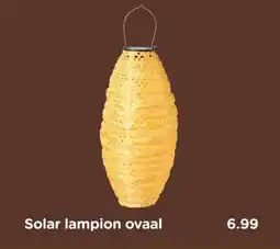 Xenos Solar lampion ovaal aanbieding