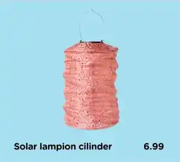 Xenos Solar lampion cilinder aanbieding