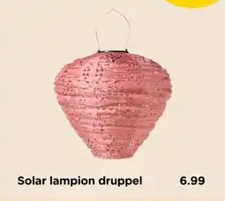 Xenos Solar lampion druppel aanbieding