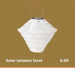 Xenos Solar lampion facet aanbieding