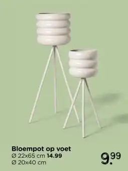 Xenos Bloempot op voet aanbieding