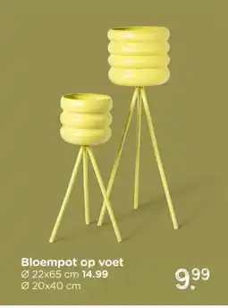 Xenos Bloempot op voet aanbieding