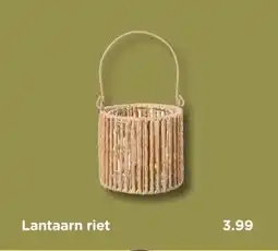 Xenos Lantaarn riet aanbieding