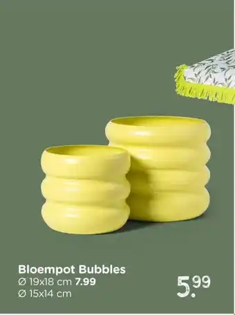Bloempot Bubbles