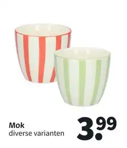 Wibra Mok aanbieding