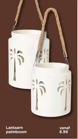 Xenos Lantaarn palmboom aanbieding