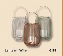 Xenos Lantaarn Wire aanbieding