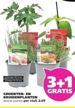 Ranzijn GROENTEN- EN KRUIDENPLANTEN aanbieding