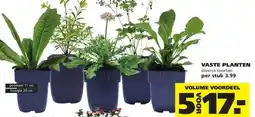 Ranzijn VASTE PLANTEN aanbieding