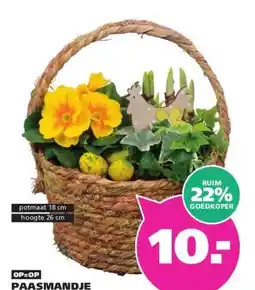 Ranzijn PAASMANDJE aanbieding
