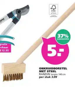Ranzijn ONKRUIDBORSTEL MET STEEL aanbieding