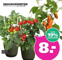 Ranzijn SNACKGROENTEN aanbieding