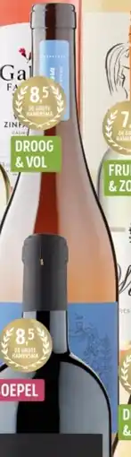 Jumbo Terra Pura Chardonnay Single aanbieding