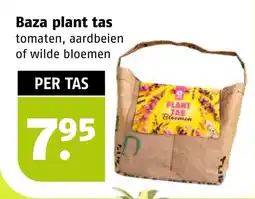 Poiesz Baza plant tas aanbieding