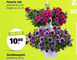 Poiesz Petunia mix aanbieding