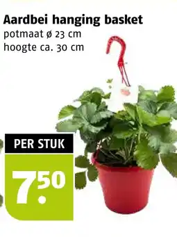 Poiesz Aardbei hanging basket aanbieding