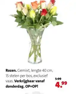 Intratuin Rozen. aanbieding