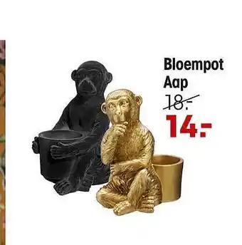 Kwantum Bloempot aap aanbieding