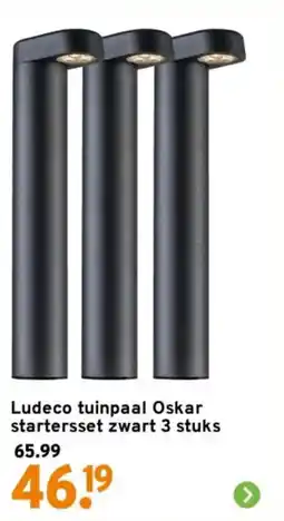 GAMMA Ludeco tuinpaal Oskar startersset zwart aanbieding