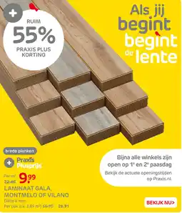 Praxis Laminaat gala, montmelo of vilano aanbieding