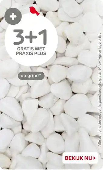 Praxis op grind aanbieding