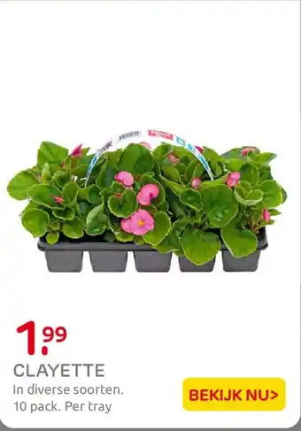 Praxis Clayette aanbieding