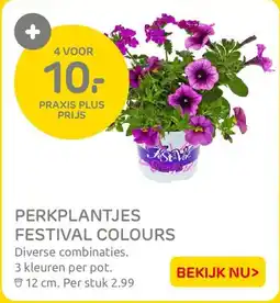Praxis Perkplantjes Festival Colours aanbieding