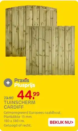 Praxis Tuinscherm Cardiff aanbieding