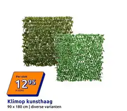 Action Klimop kunsthaag aanbieding