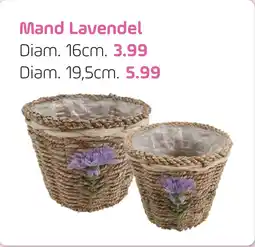 Coppelmans Mand Lavendel aanbieding