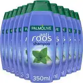 Bol.com Palmolive Shampoo Anti-Roos - Voordeelverpakking 12 x 350 ml aanbieding
