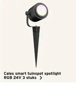 GAMMA Calex smart tuinspot spotlight RGB 24V aanbieding