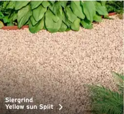 GAMMA Siergrind Yellow sun Split aanbieding