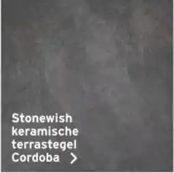 GAMMA Stonewish keramische terrastegel Cordoba aanbieding