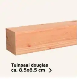 GAMMA Tuinpaal douglas aanbieding