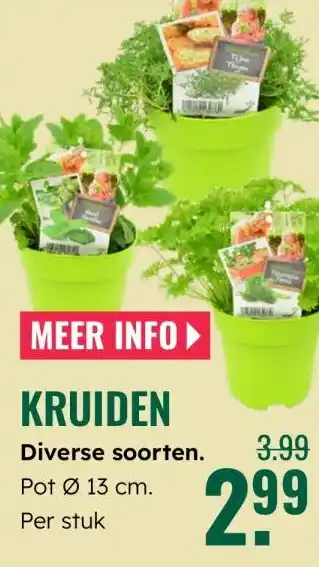 GroenRijk Kruiden Diverse soorten. aanbieding