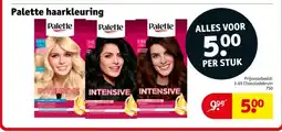 Kruidvat Palette haarkleuring aanbieding
