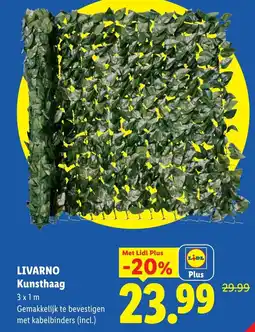 Lidl Livarno Kunsthaag aanbieding