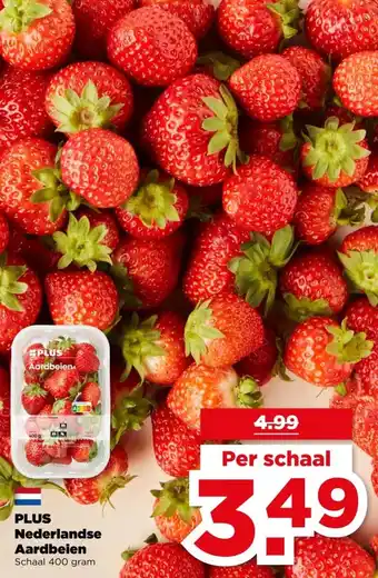 PLUS PLUS Nederlandse Aardbeien aanbieding