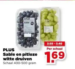 PLUS PLUS Sable en pitloze witte druiven aanbieding