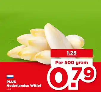PLUS PLUS Nederlandse Witlof aanbieding