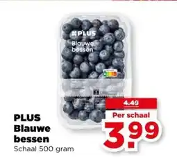 PLUS PLUS Blauwe bessen aanbieding