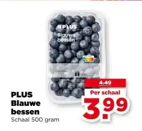 PLUS PLUS Blauwe bessen aanbieding