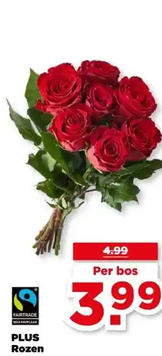 PLUS PLUS Rozen aanbieding
