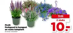 PLUS PLUS Perkgoed in hangpot en vaste tuinplant aanbieding