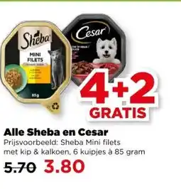 PLUS Alle Sheba en Cesar aanbieding